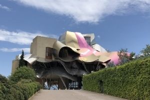 traveling steps wine tour riscal